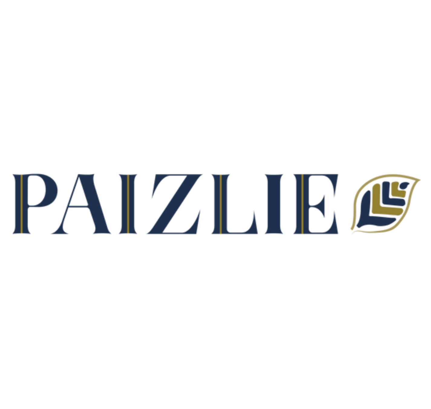 Paizlie logo